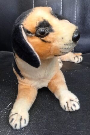 Dog Soft Toy