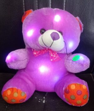 Purple Led Teddy