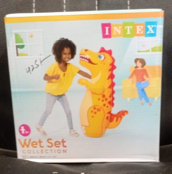 Intex Bouncing Bag