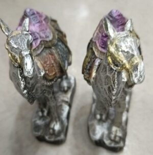 Camel Set