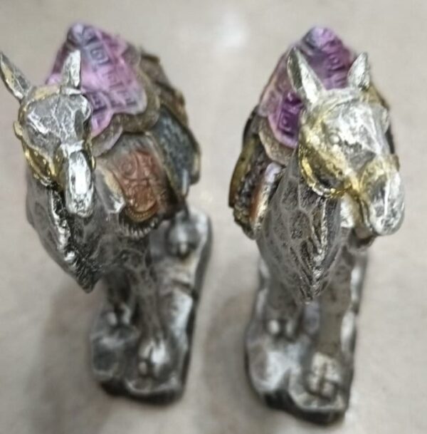 Camel Set