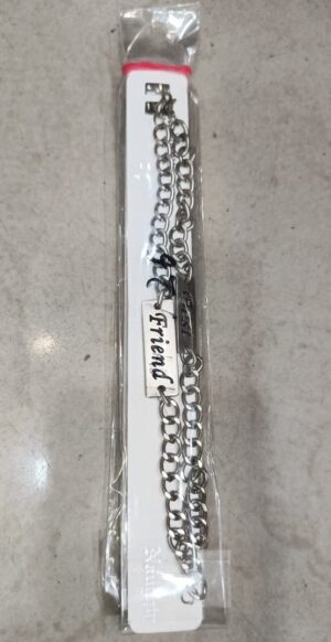 Steel Friend Band
