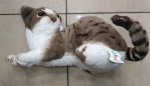 Cat Soft Toy