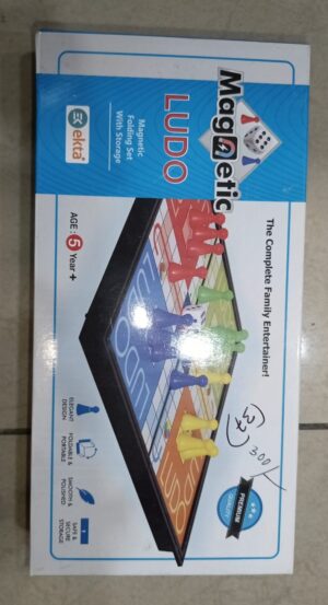 Magnetic Ludo