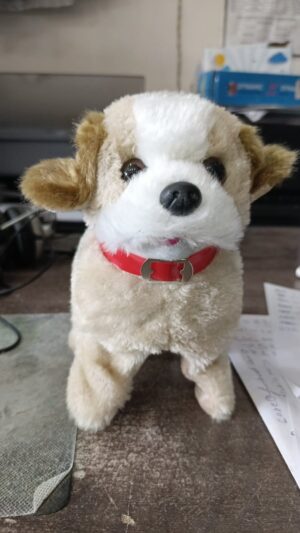 WhatsApp Image 2025 11 21 at 2.14.03 PM