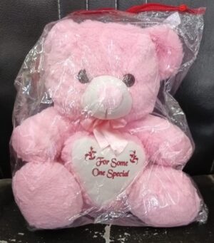For Someone Special Teddy