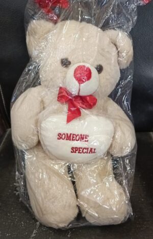 Someone Special Teddy